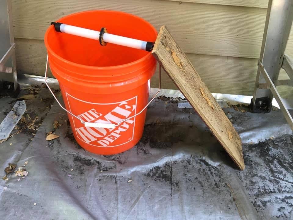 Mouse trap nonviolent bait peanut butter and bird seed. White pole spins.