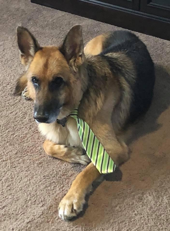 Take your dog to work day.