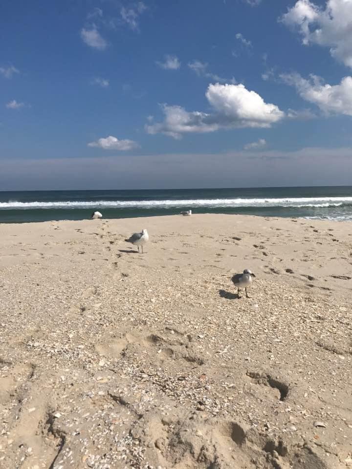 Beautiful day at the beach!
