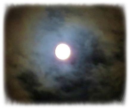 Bruce MOTT's album, Timeline Photos
