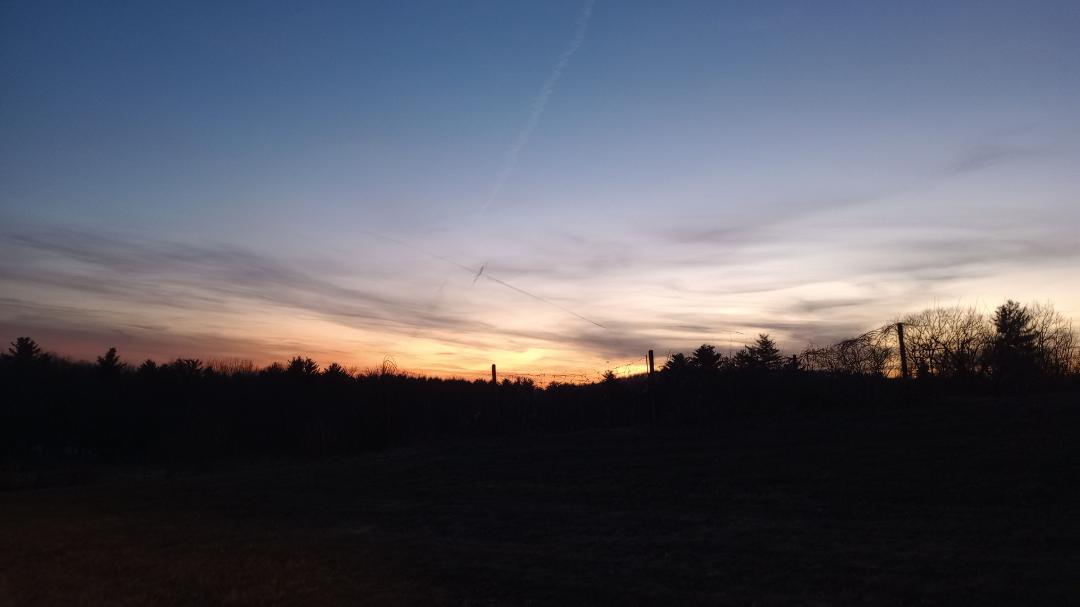 Thomas Small's album, Timeline photos
