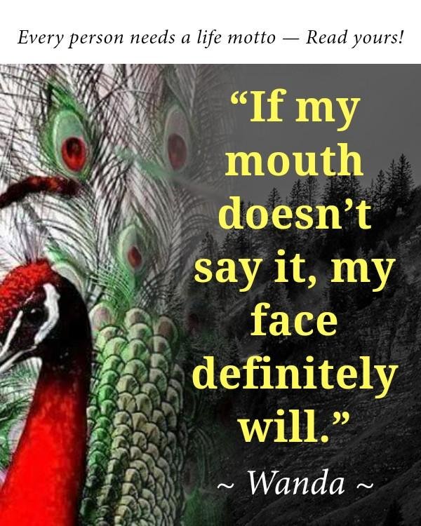 Wanda Bencze's album, Timeline photos