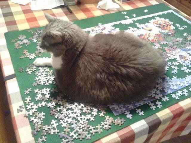 My kitty makes jigsaw puzzles more difficult than they should be