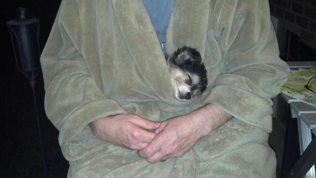 Keeping Sadie warm while she sleeps; she's such a baby.