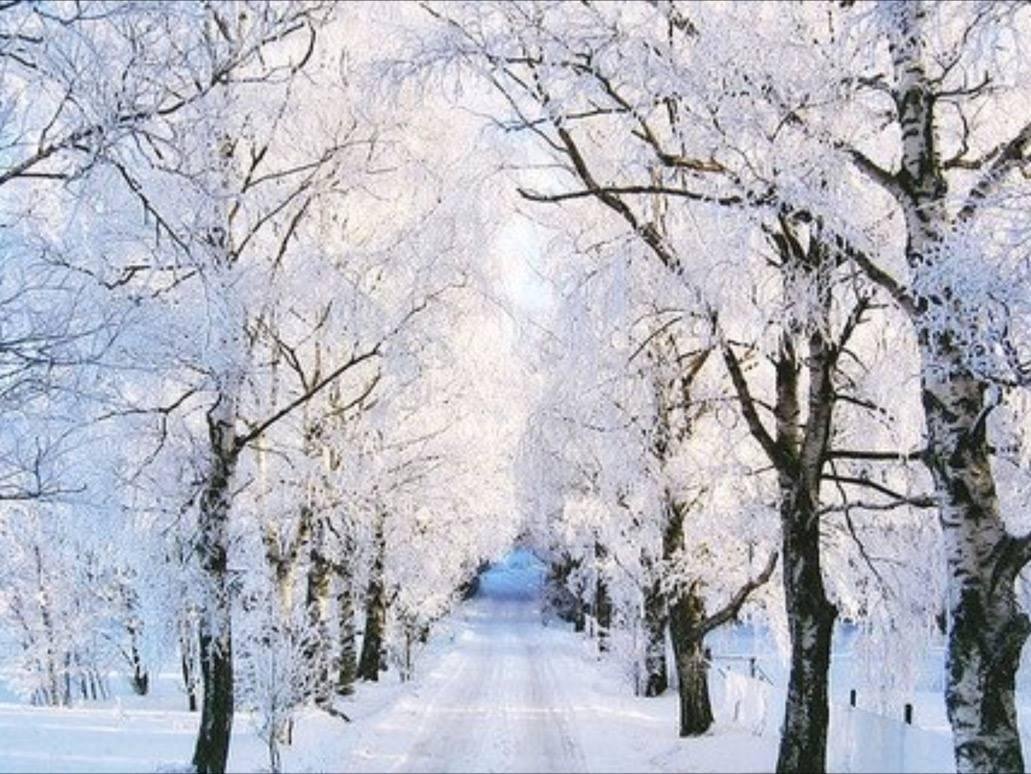 Just a pretty picture !