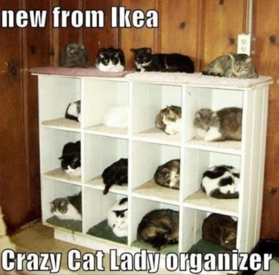 Here is a new cupboard for your new home Cindy!!