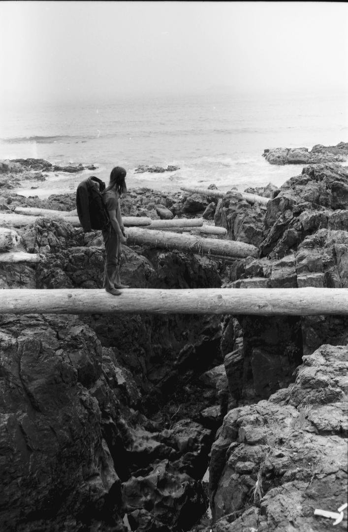 Jerry crossing on a log
