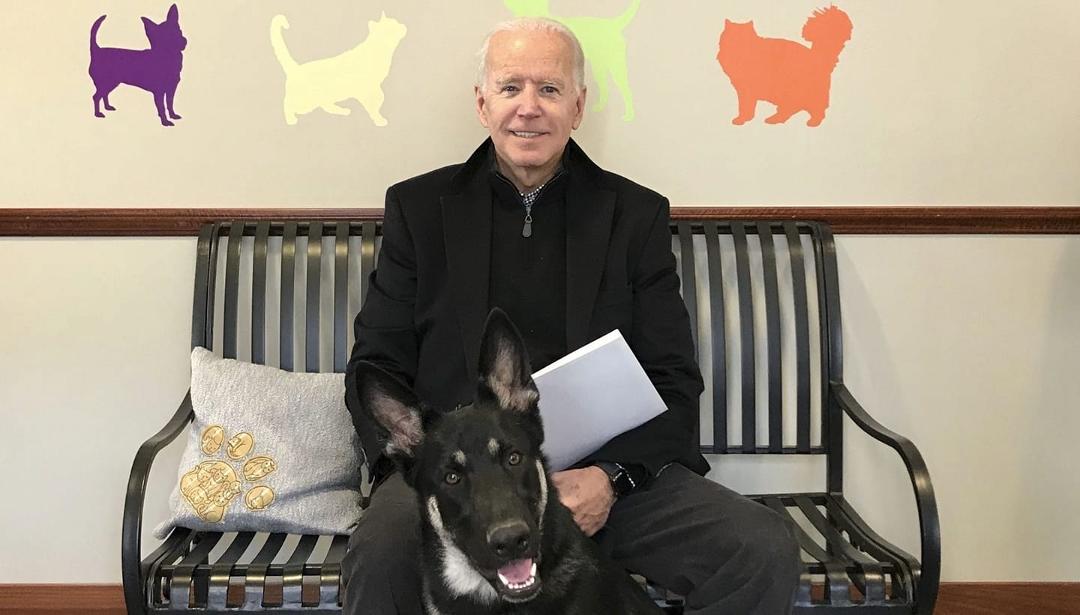 I like his pooch too.