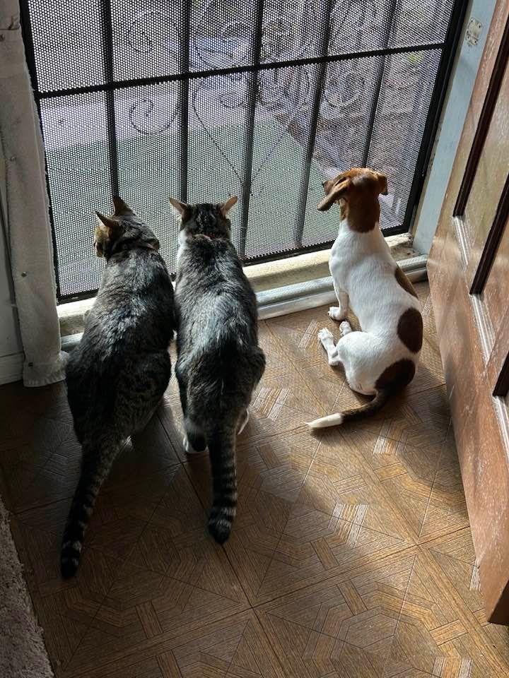 Pumpkin ,Spice, and Kandi
