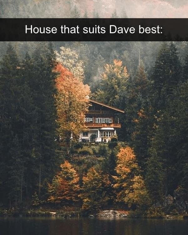 Love the trees