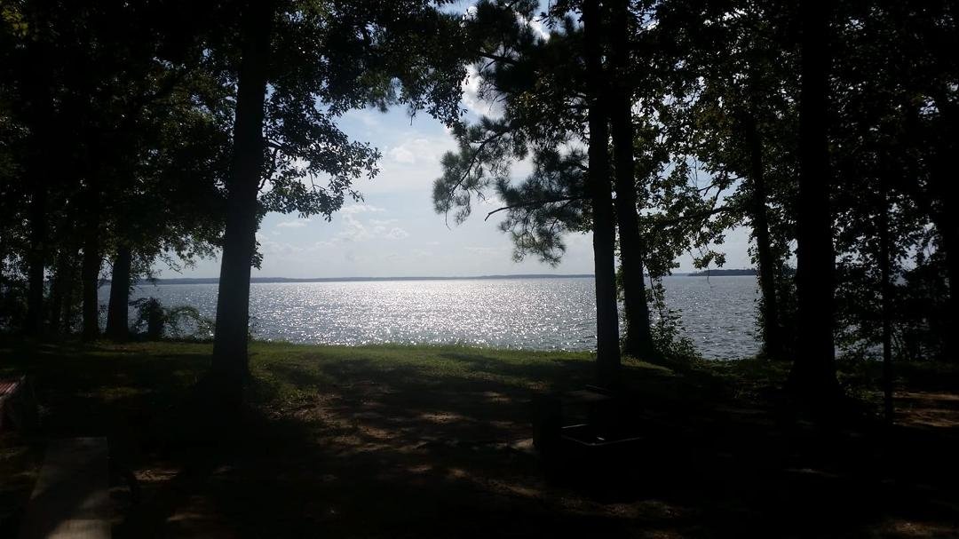 Our campsite for the next few days at Livingston State Park in east Texas.