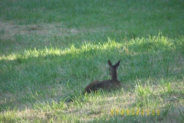 This was taken while on one of my walks down the road.