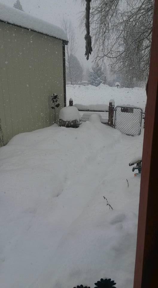 Patty Labeau's album, Timeline Photos