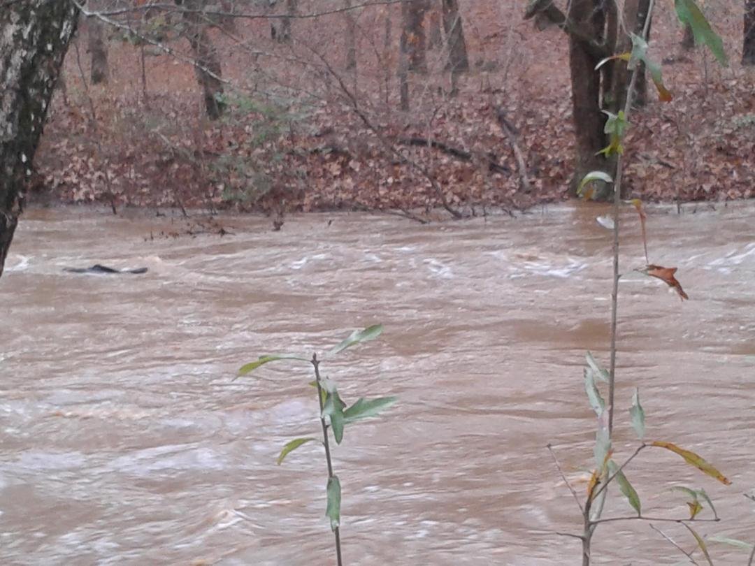 Commissioners Creek behind the house. Usually just sand and large rocks.