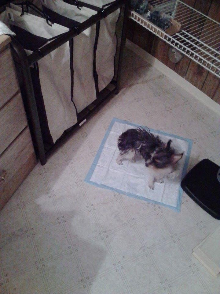 Poor little guy..lol