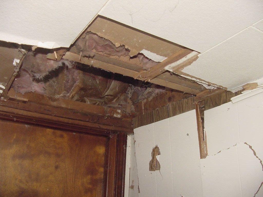 Jay Tauber's album, Demo the old building