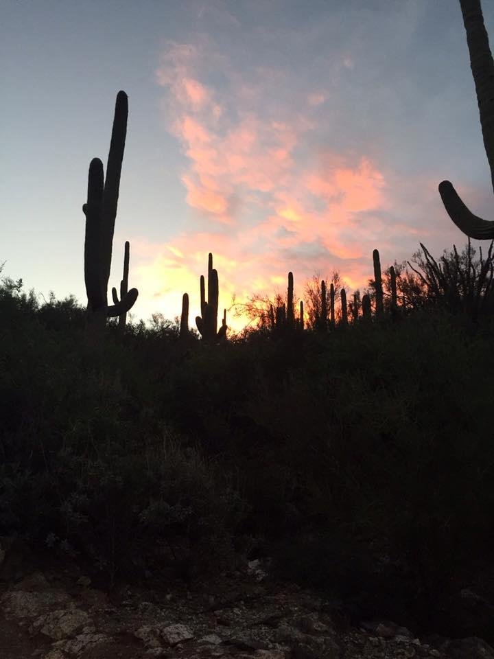 Bob Jensen's album, Mobile Uploads