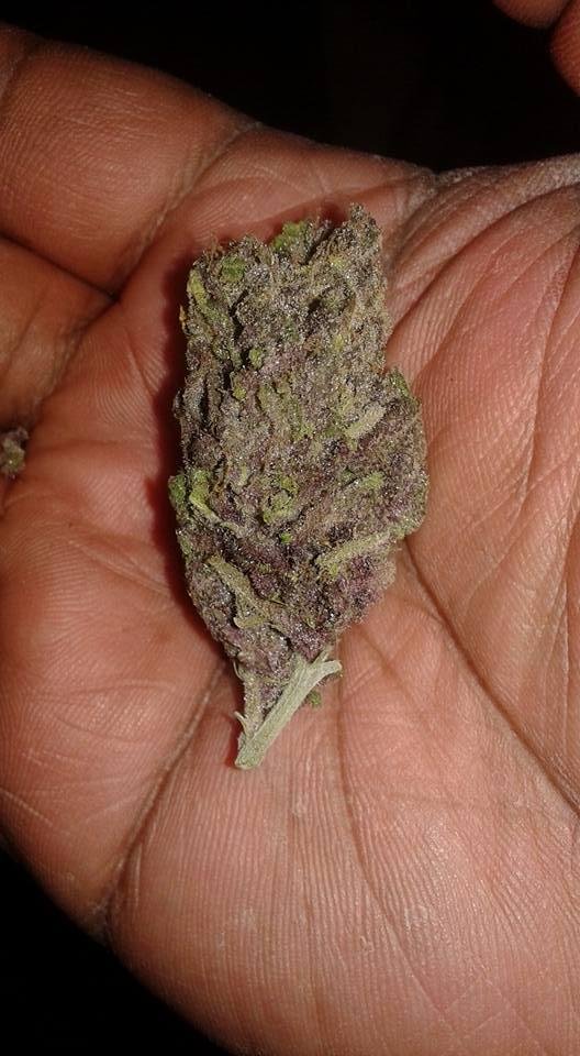 JAHGOO