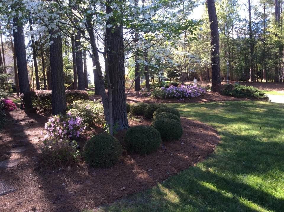 Spring time 😀