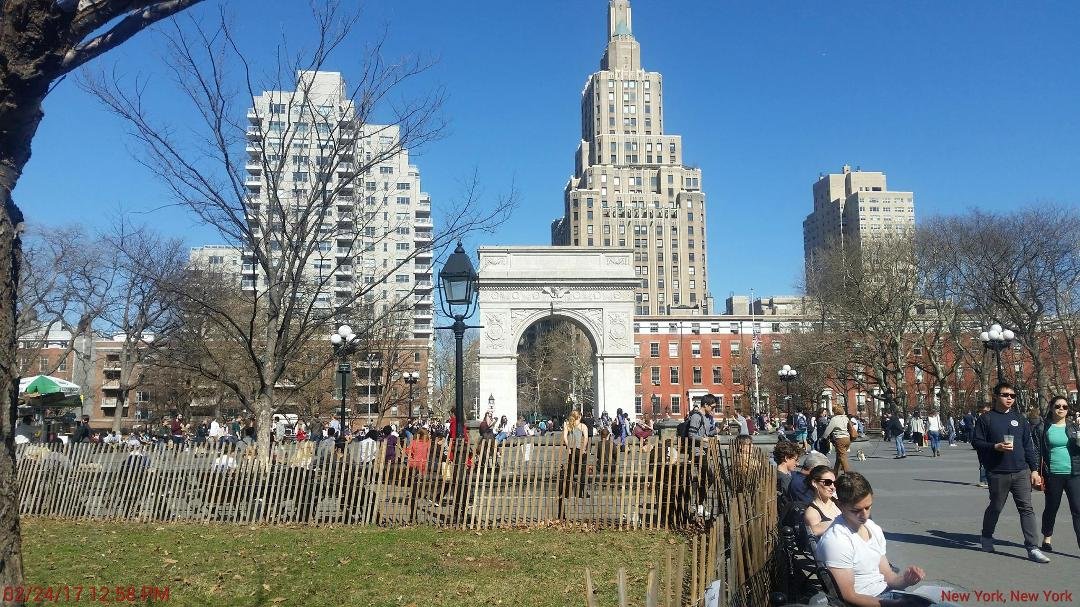 This is winter in Washington Square Park!