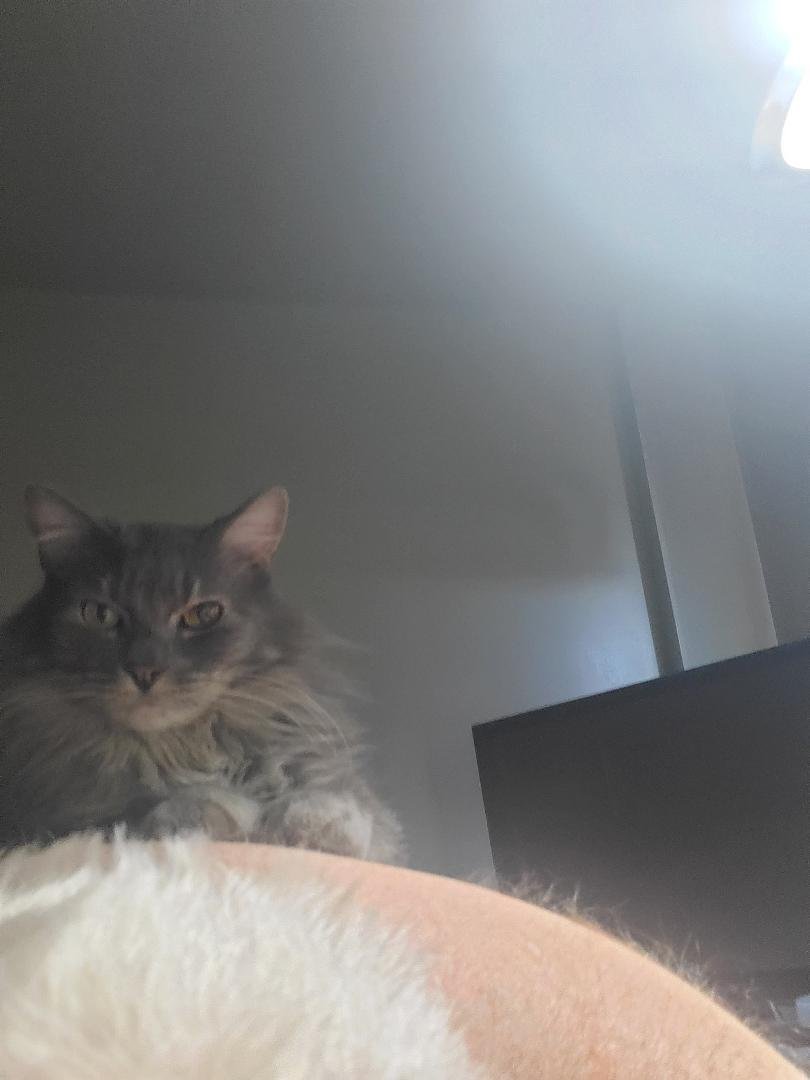 He's on my back this afternoon