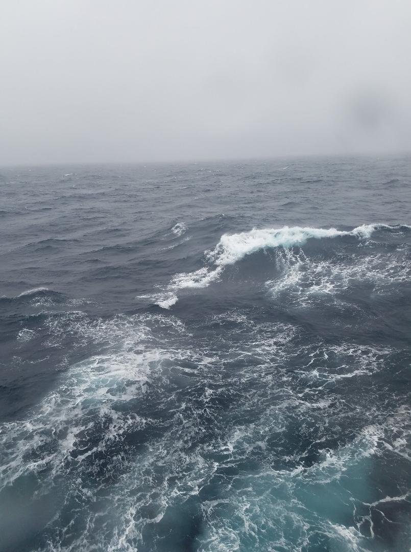 Yup, stormy "fun day at sea"