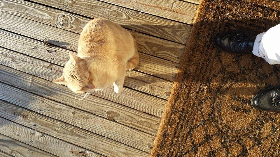 cantaloupe came for a visit