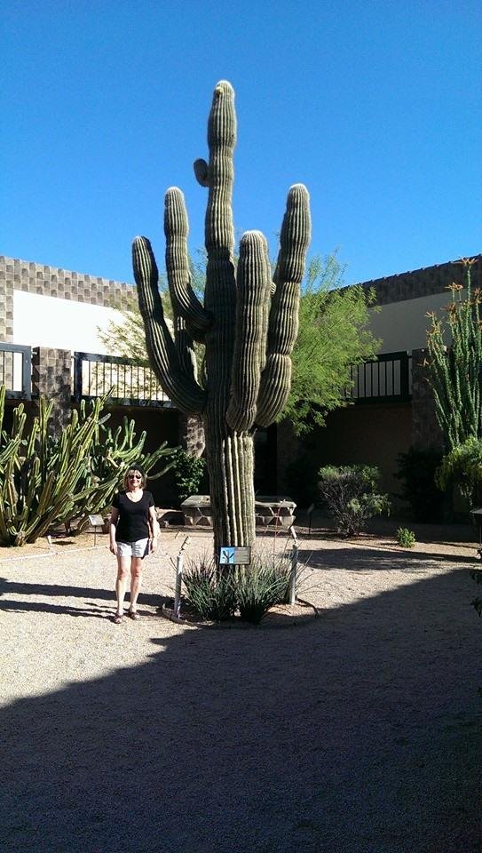 Ah, spring training