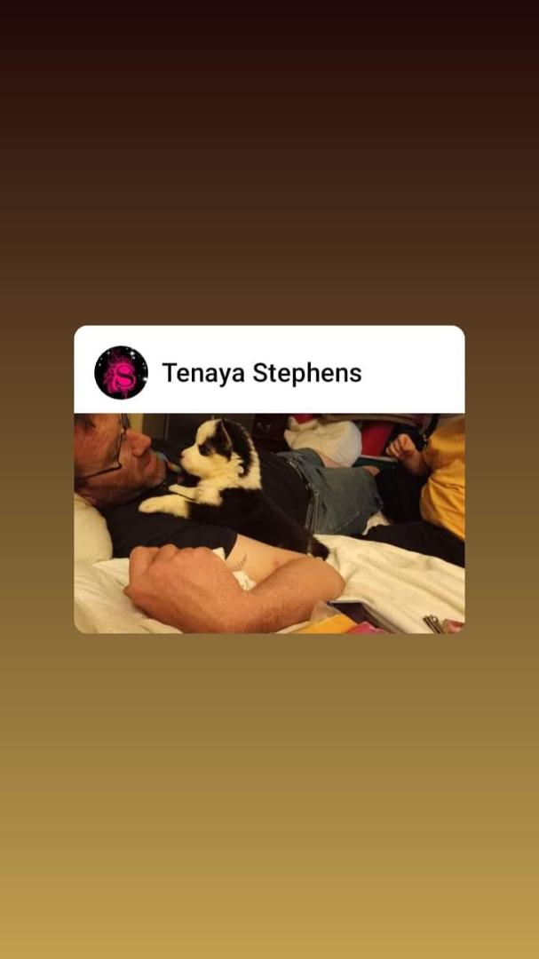 Kyle Stephens' album, Mobile uploads