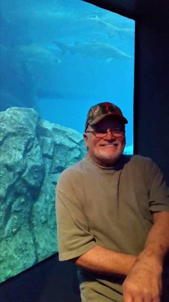 At the Camden Aquarium. Great shot by Susan.