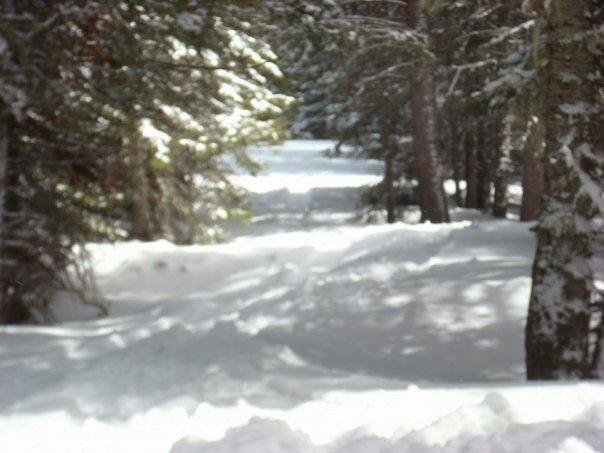 Kelley Brenneman's album, Hiking