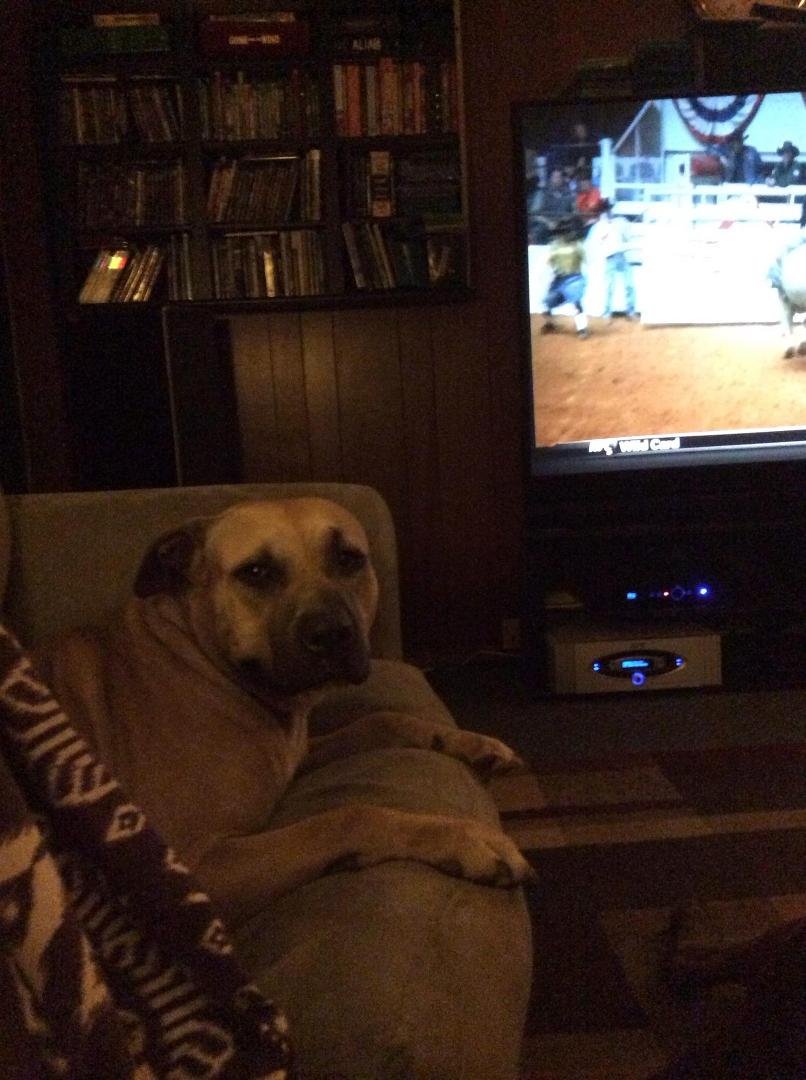 Shellie is just waiting for Downton Abbey