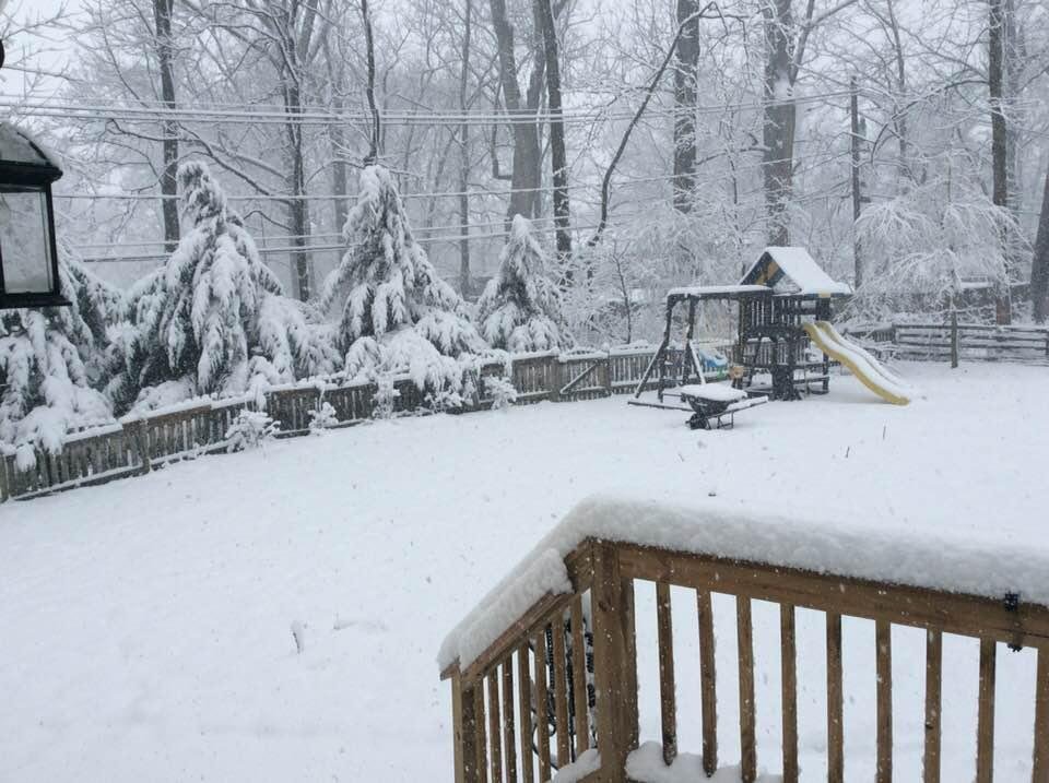 Diana Plumer's album, Timeline Photos