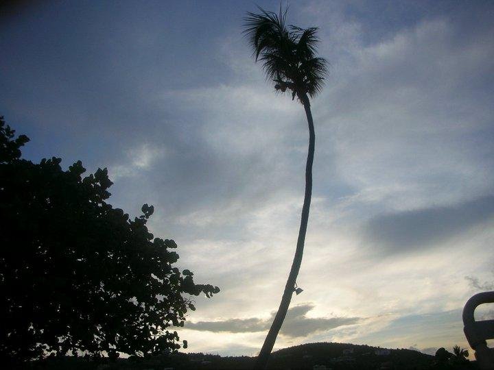 **** SUN SET IN ST. JOHNS SLAND ****