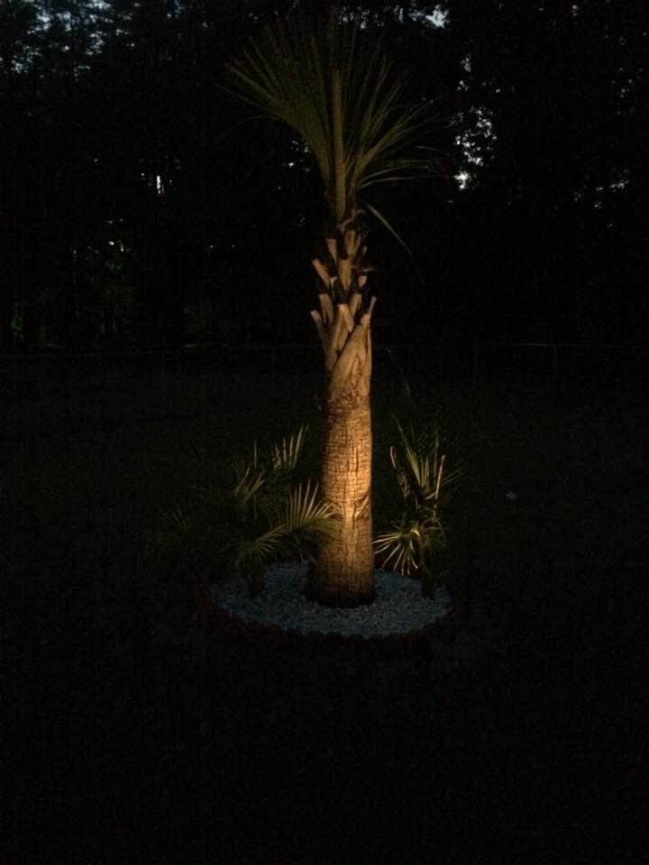 My new addition to the back yard