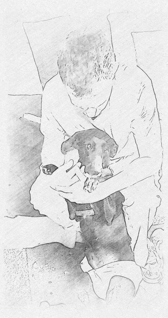BEECHER SHULER's album, Mobile uploads