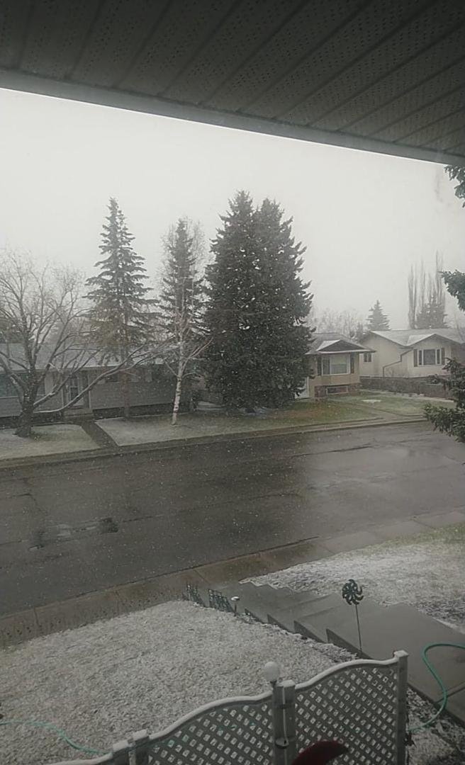 Snowing again