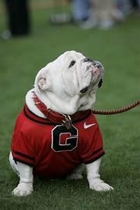 It's about that time. How 'bout them Dawgs?