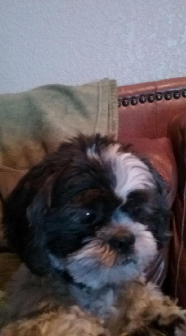My sweet little boy!