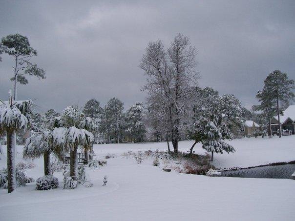 Karen Karen Deegan's album, FEBRUARY 13TH IN NORTH CAROLINA
