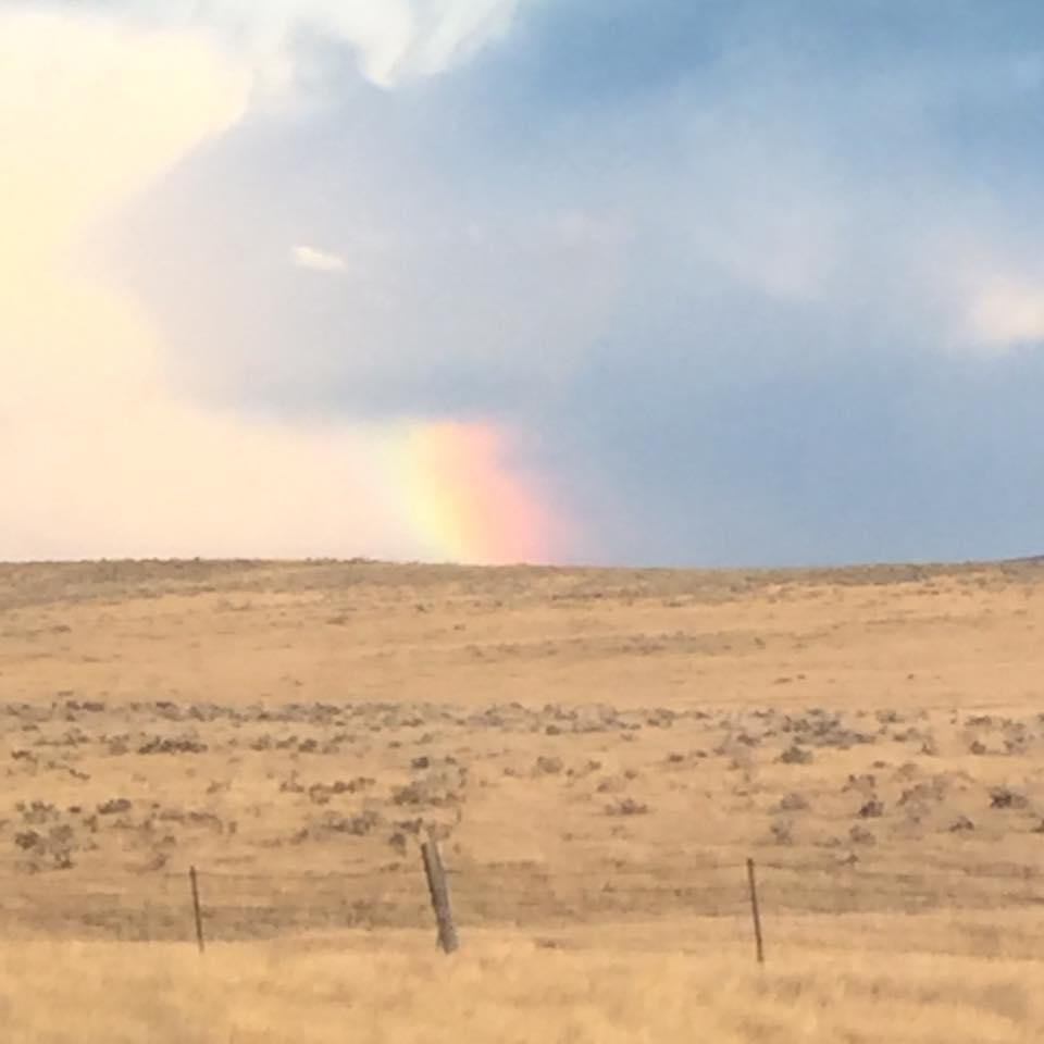 Cindy Schumacher's album, Mobile Uploads
