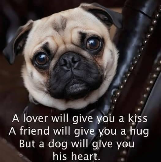 Edith Jacobs' album, Timeline photos
