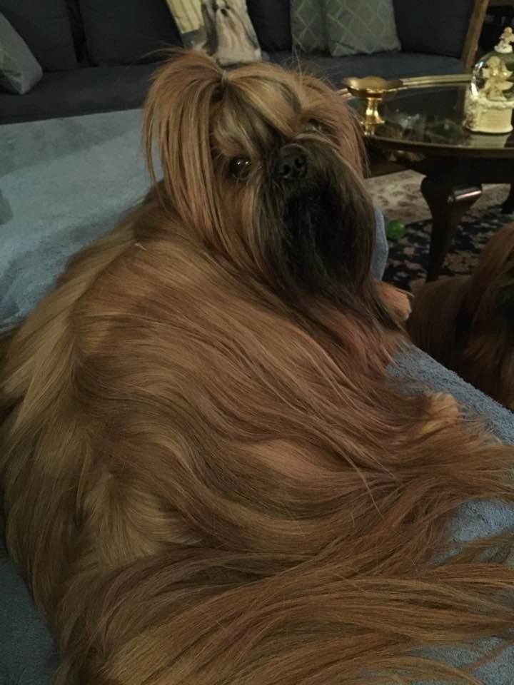 Pretty Dudley!