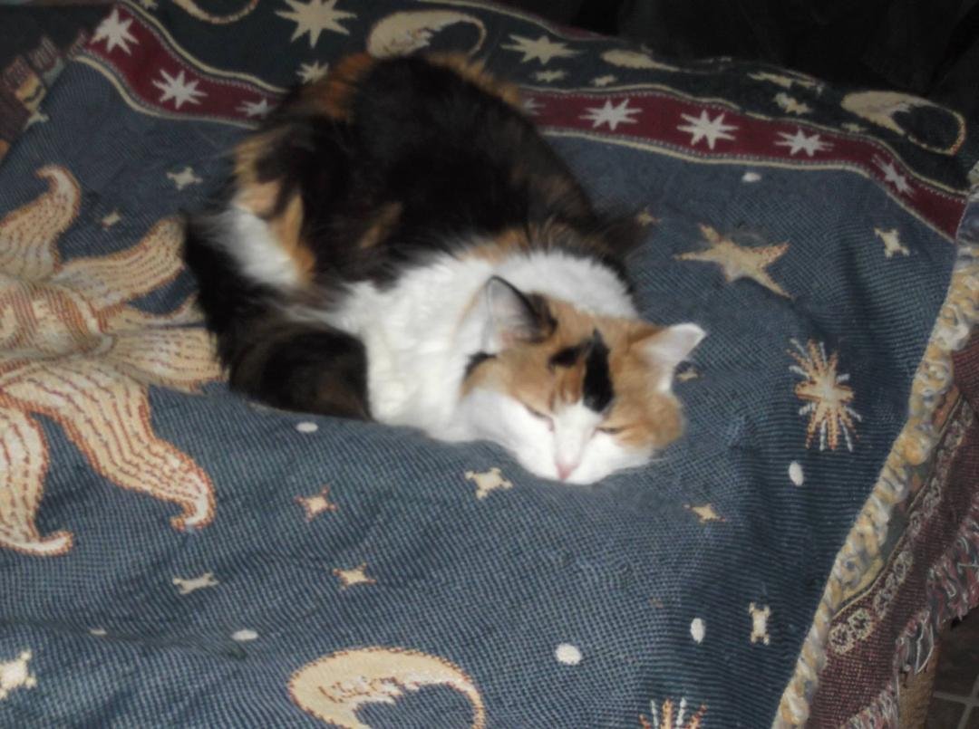 I'm napping don't bug me peasants