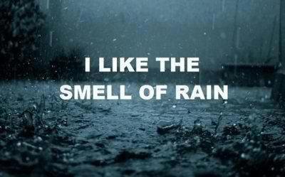 There is nothing like waking up to the sound of rain on your day off. Happy Saturday FB Fam!
Enjoy this beautiful rainy day with me! Be Blessed!! SS