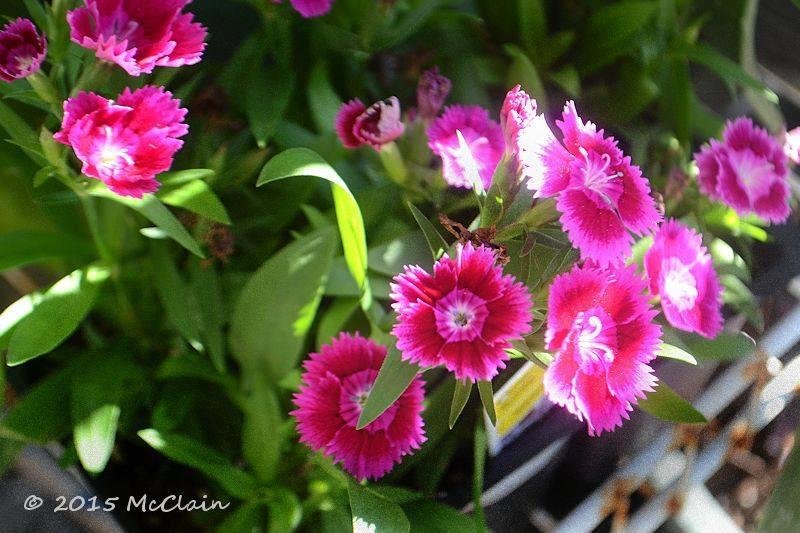 Curt McClain's album, Timeline Photos