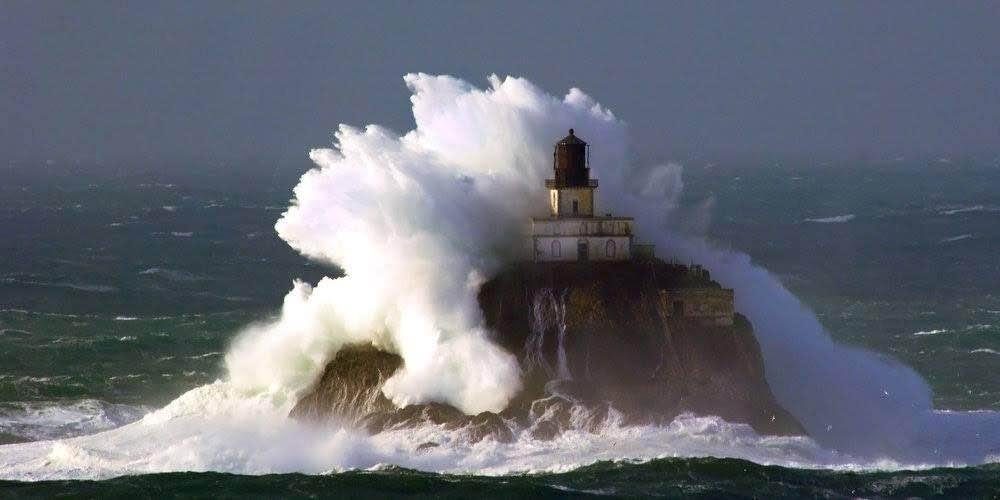 Surf's up