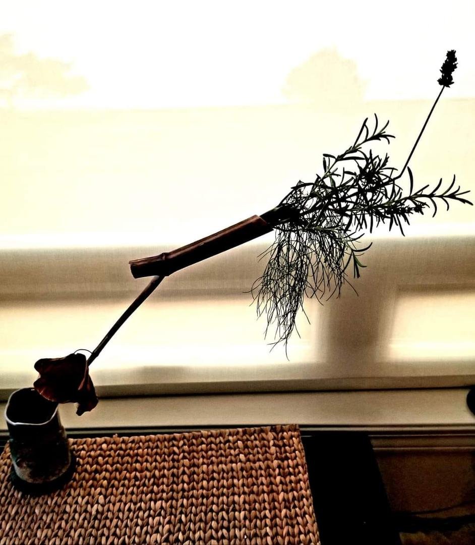 Ikebana Findings Along the Trail