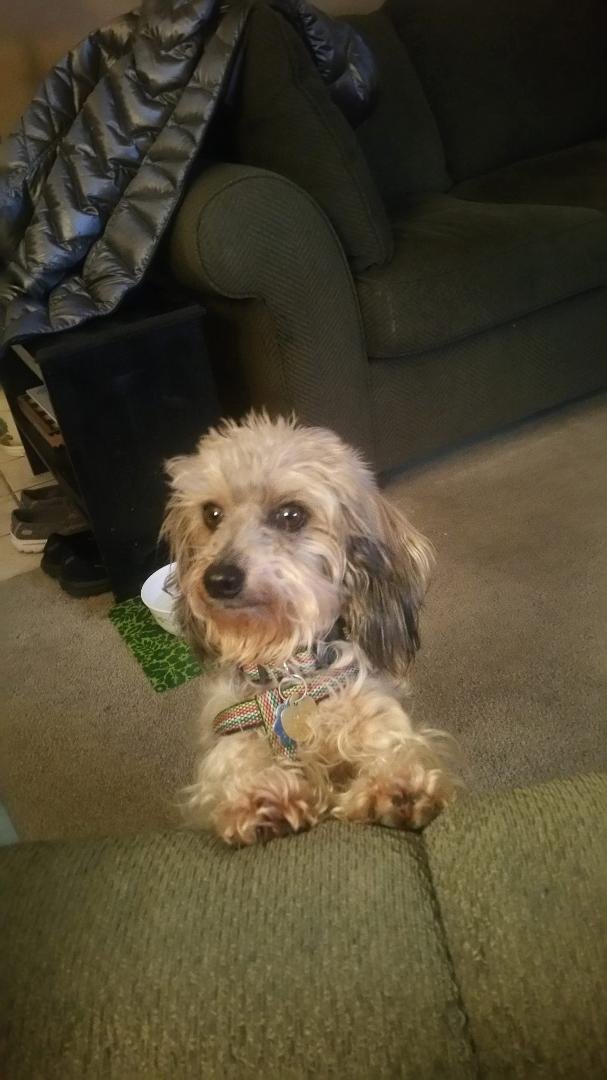 My little girl loves to sit on my lap and "begs" to be picked up.