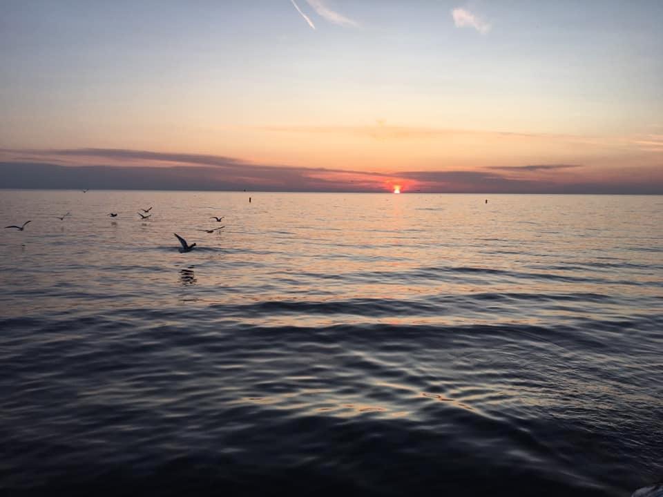 Carolan August's album, Mobile Uploads